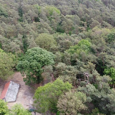 Natuurslaapkamer De Zaadeest Boskamer Lomm Bagian luar foto