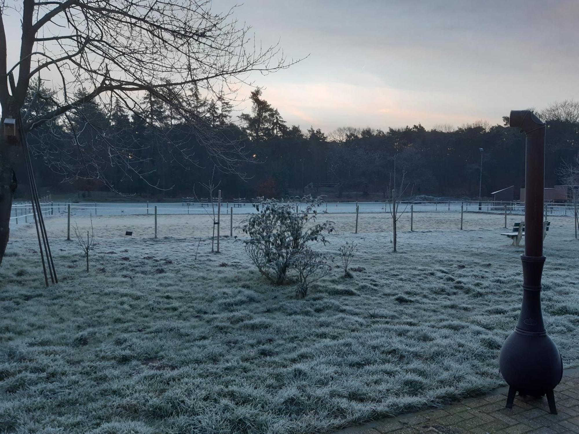 Natuurslaapkamer De Zaadeest Boskamer Lomm Bagian luar foto