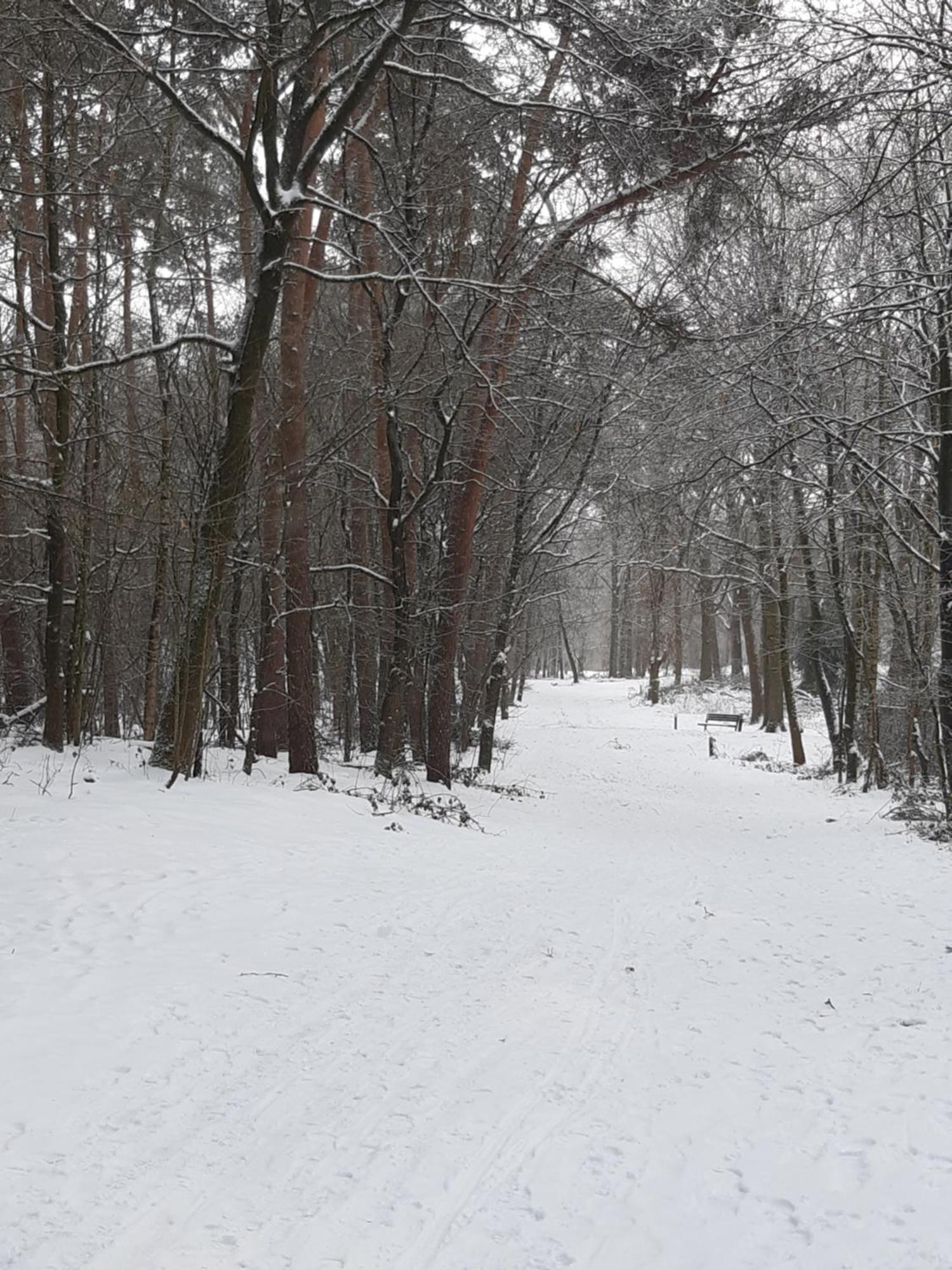 Natuurslaapkamer De Zaadeest Boskamer Lomm Bagian luar foto
