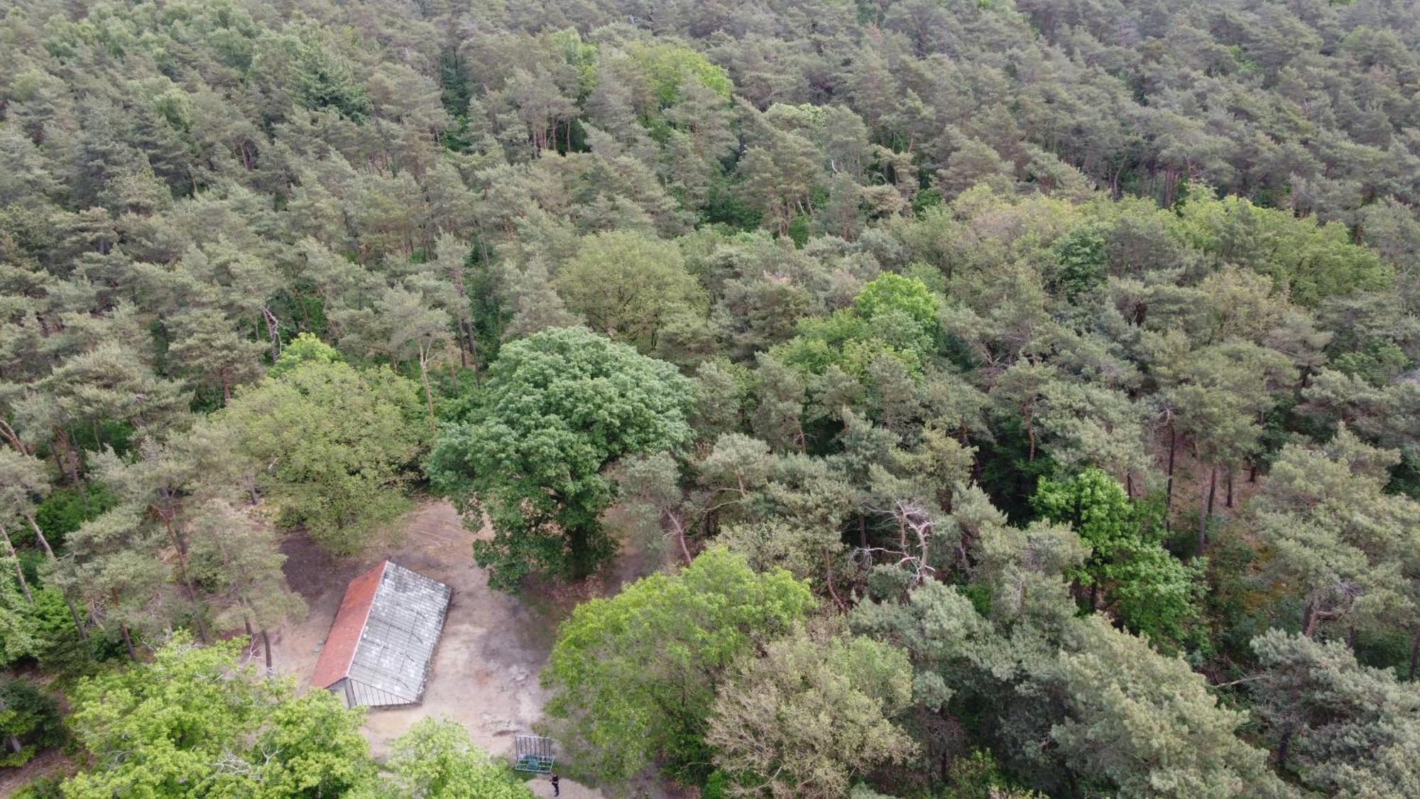 Natuurslaapkamer De Zaadeest Boskamer Lomm Bagian luar foto